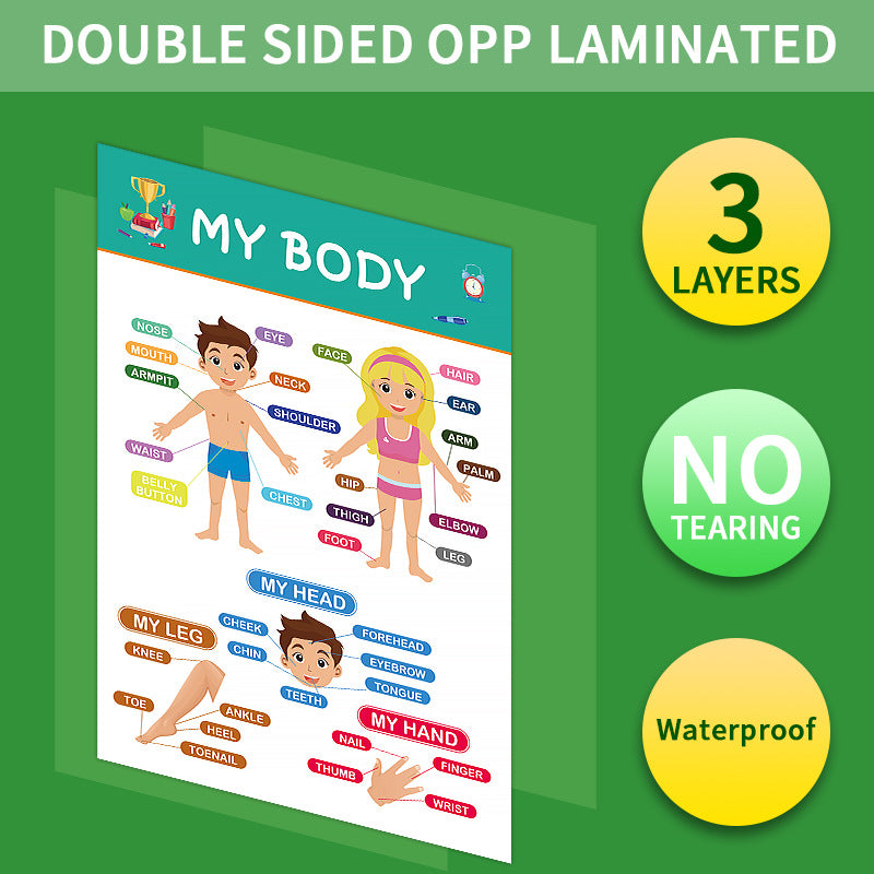 12-Pack Laminated Learning Charts - ABCs, Numbers, Shapes, Solar System, Weather & More